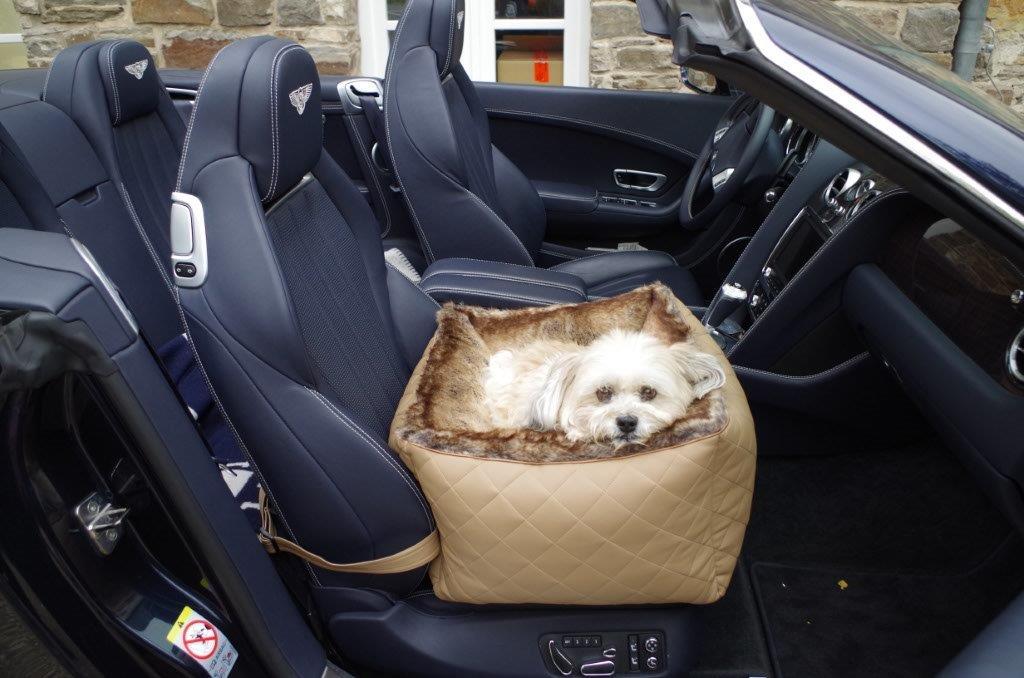 Autositze für Hunde Für ein sicheres Fahrgefühl! Society Dog Ihr