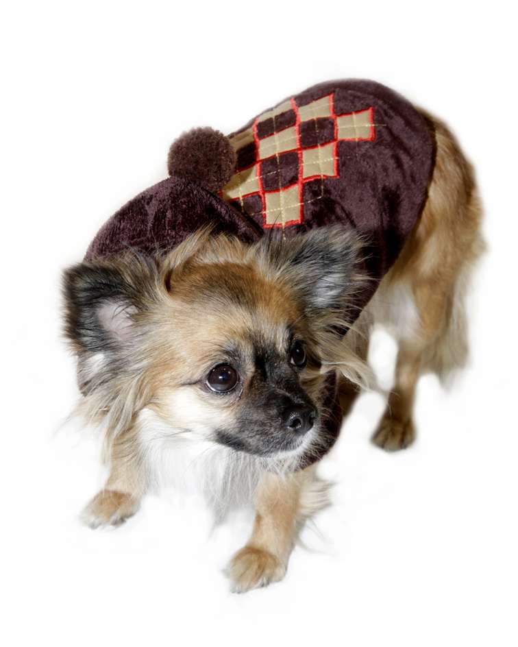 HundeSweater Super Soft Argyle Brown HundeSweater Hundebekleidung