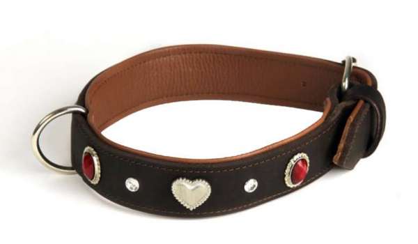 Hundehalsband Ancona