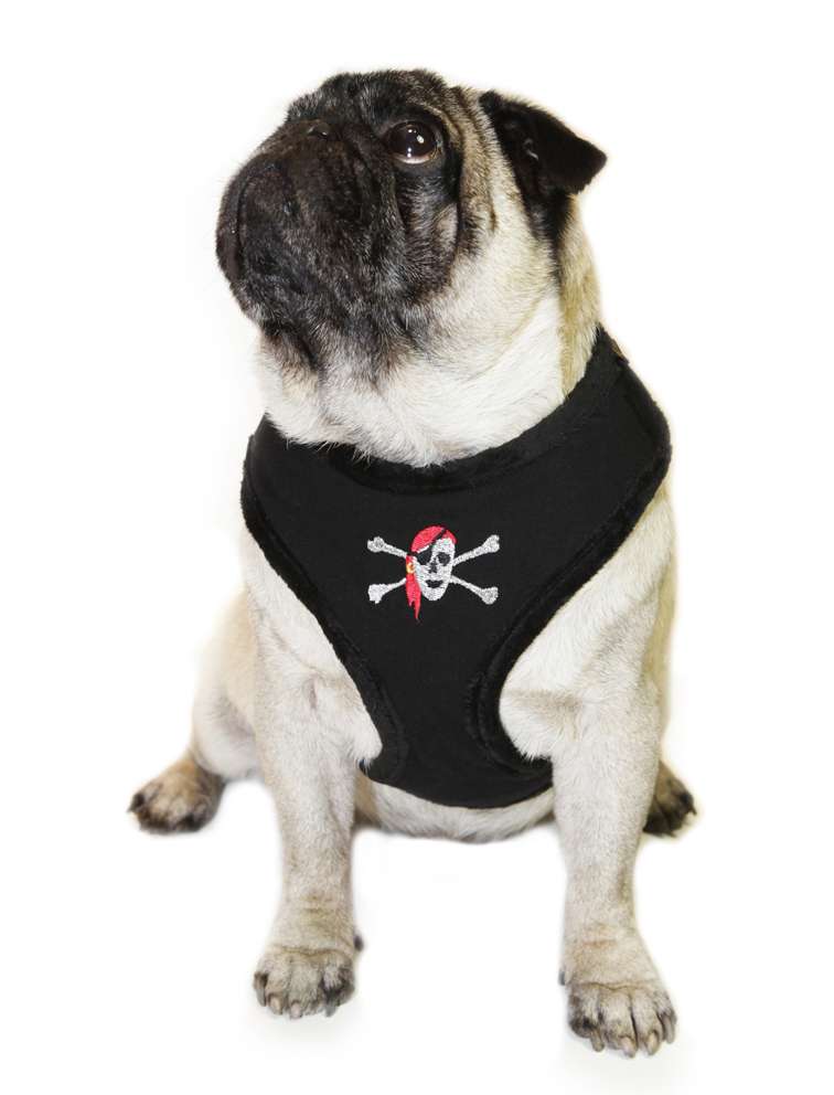Softgeschirr Pirat Softgeschirre Hundegeschirre Society Dog Ihr