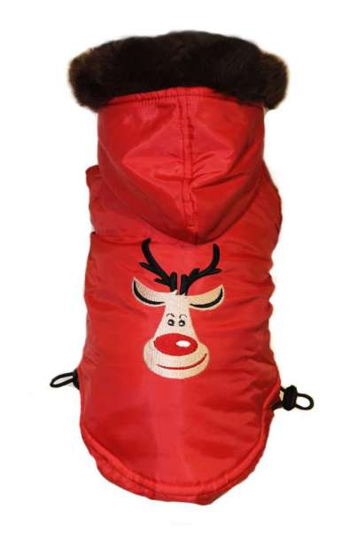 Mopsmantel Crazy Rudolph