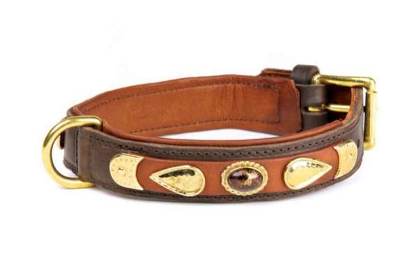 Hundehalsband Lexington