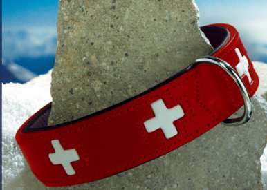 Hundehalsband Swiss Rot