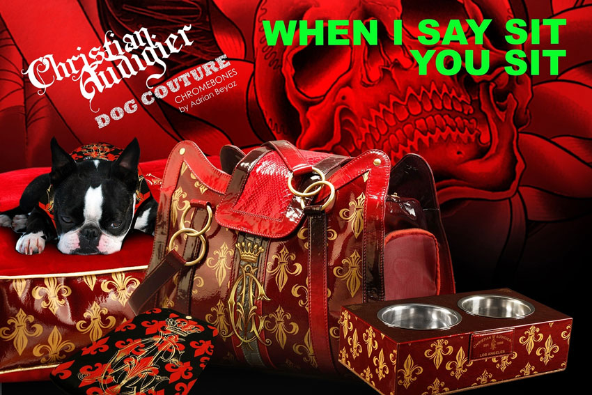 Christian Audigier Shirt-Geschirr Set