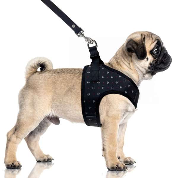Hundegeschirr MARITIMO
