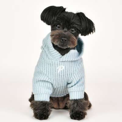 PUPPIA Sweater Declan - Hellblau