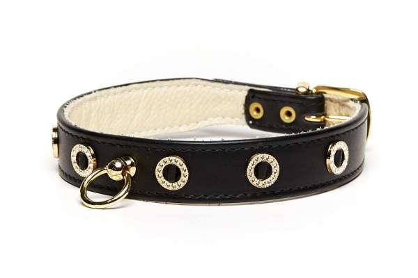 Hundehalsband Riva - Black