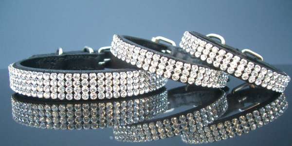 Hundehalsband Hollywood Petit