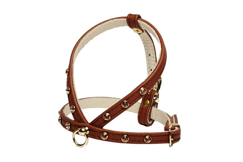 Ultraleichtes Ledergeschirr für kleine Hunderassen! Hundegeschirre