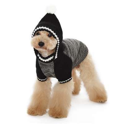 Hunde-Sweater Diego