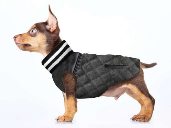 Milk & Pepper Hundejacke Teddy