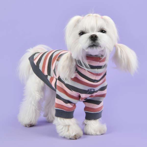 Hundepullover Bryson - Indian Pink