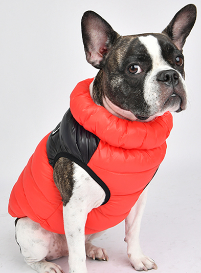 Hunde-Daunenjacke – Thermo-Winterjacke Für Hunde, Wasser- Und Winddicht, Mit Kapuze, Orange, Größen XS-XXL