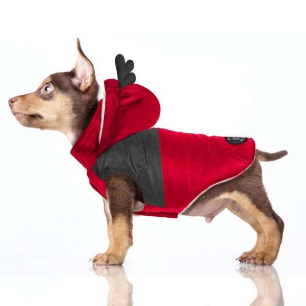 Milk & Pepper Hundemantel Blitzen - Rot