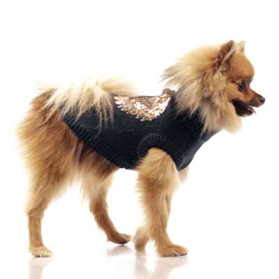 Milk & Pepper Hundepullover Esther - Marine