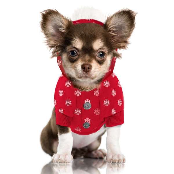 Hunde-Sweater Flake - Limited Edition