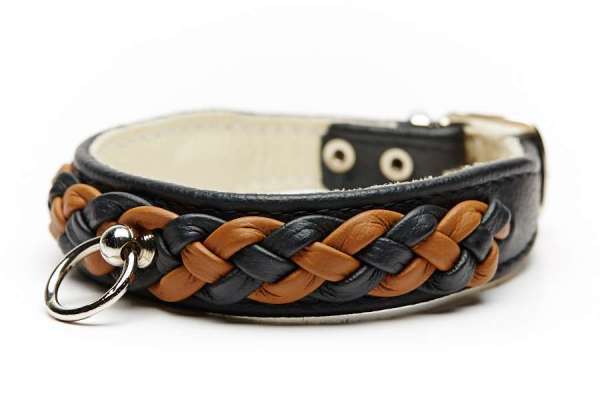 Hundehalsband Chester Black-Cognac