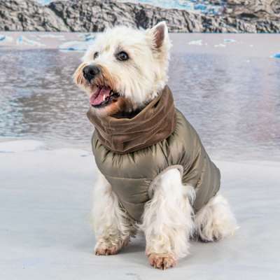 Puppia Hundemantel Hollis – Wasserdicht, Winddicht, Mit Fleece-Innenfutter, Für Kleine Bis Mittelgroße Hunde