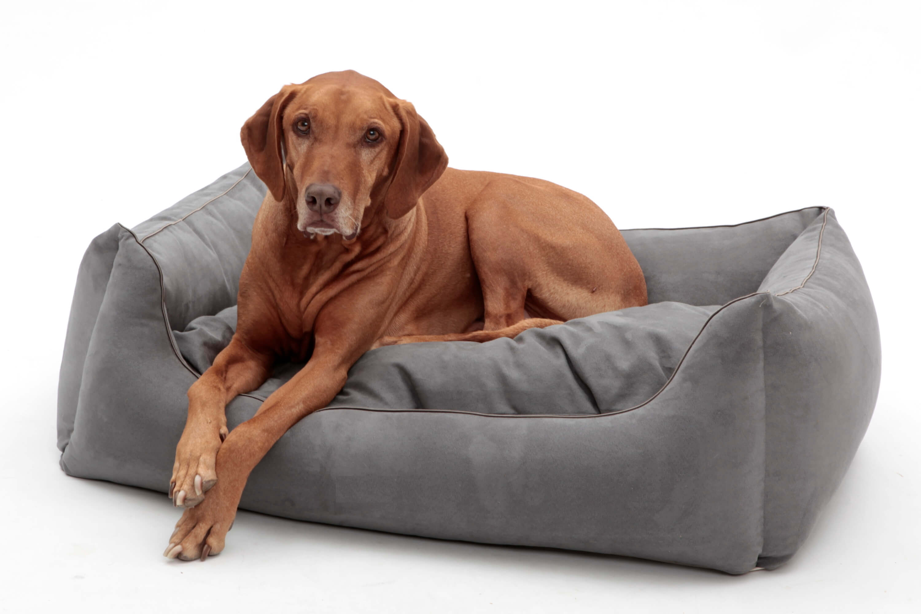 Exklusive Hundebetten mit Alcantara-Bezug online kaufen