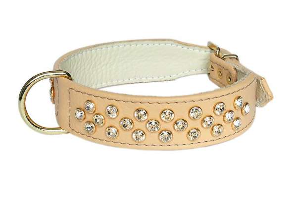 Hundehalsband Melrose Avenue - Beige-Clear