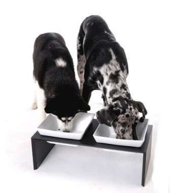 Futterstation Replus Meshidai Schwarz mit Hund