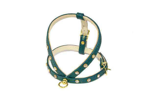 Hundegeschirr Shiny Petit - Racing Green