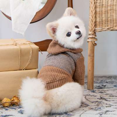 Hunde-Sweater Declan - Camel