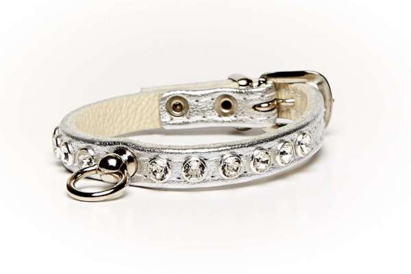 Hundehalsband Little Paris - Silber