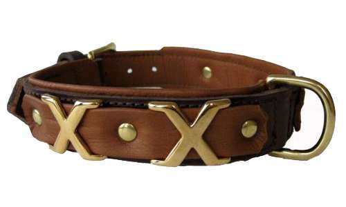 Hundehalsband Tobago Brown