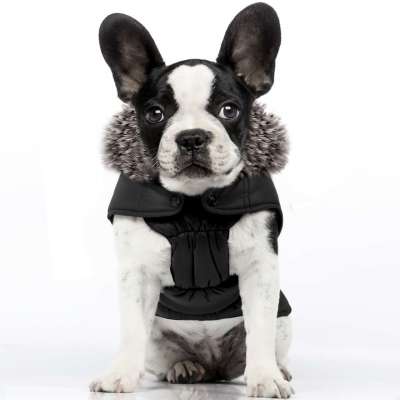 Franzsisch Bulldog Hundemantel - Bulllymantel online kaufen
