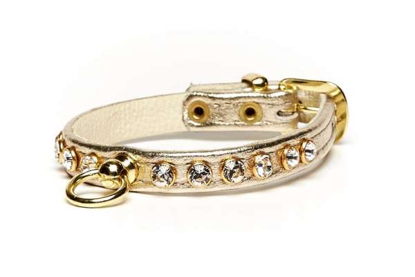 Hundehalsband Little Paris - Gold