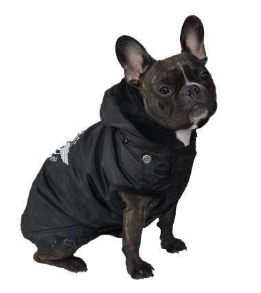 Französich Bulldog Hundemantel Route 66 Black Winter Edition