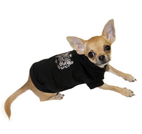 Hunde-Sweater Venezia