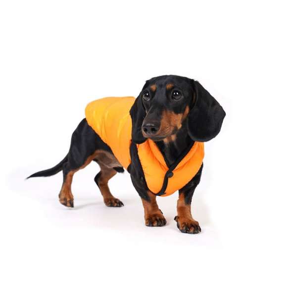 Dackel Hundemantel Newport - Orange