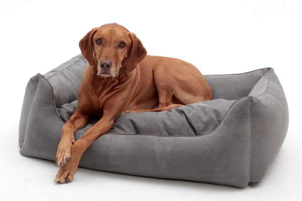 Hundebett ALCANTARA - Anthrazit