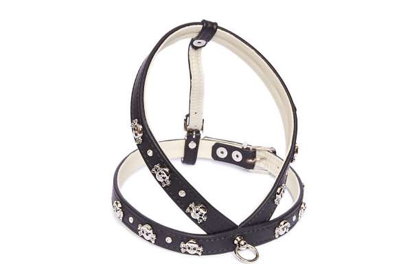 Elchleder Hundegeschirr Pirat - Black-Clear