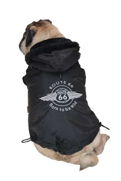 Mopsmantel Route 66 Black Winter Edition