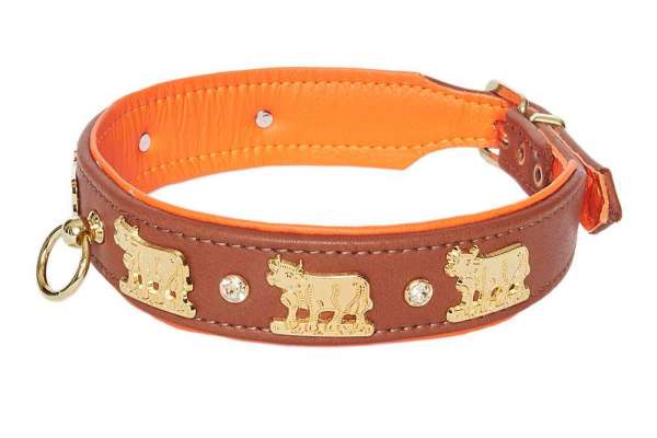 Hundehalsband Lucky Muh - Rehbraun-Orange