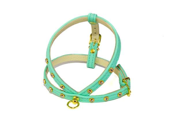 Hundegeschirr Shiny Petit - Mint