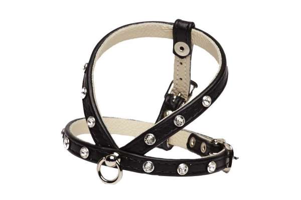 Hundegeschirr Shiny Petit Black