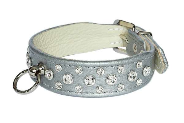 Hundehalsband Miami - Silver-Clear