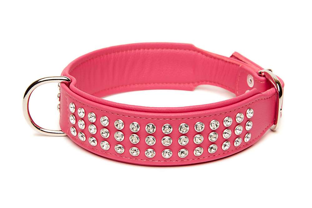 Luxus Hundehalsband mit Strass - Designer Hundehalsband mit klaren  Strass-Kristallen