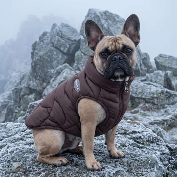 Hundejacke PUFFY JACKET - Chocolate