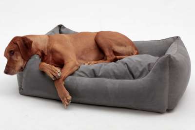 Juelle Hundebett Alcantara – Flauschiges Sofa-Bett Für Kleine Bis Große Hunde, Abziehbar & Waschbar, Größe S-XXL