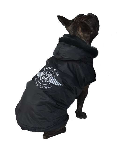 Franzsisch Bulldog Hundemantel - Bulllymantel online kaufen