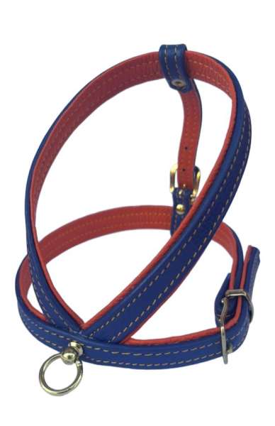 Hundegeschirr PURE - Blau-Orange