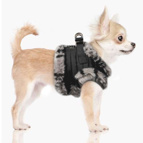Designer Hundegeschirr Kamala