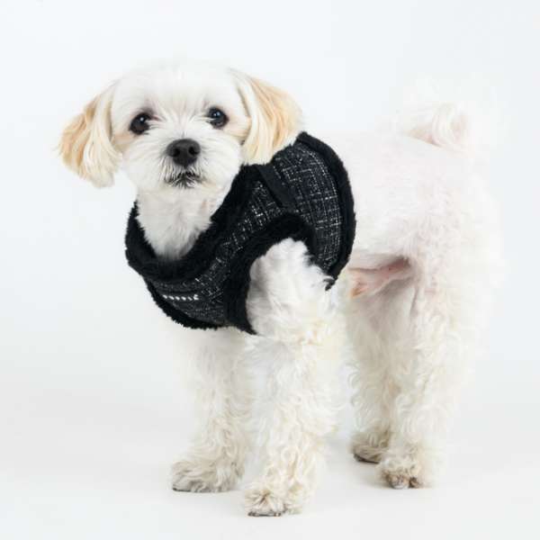 Hundegeschirr Oscar - Luxury Black