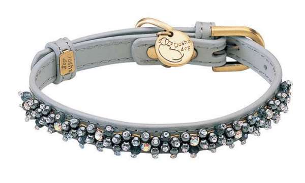Hundehalsband Magic Pearls