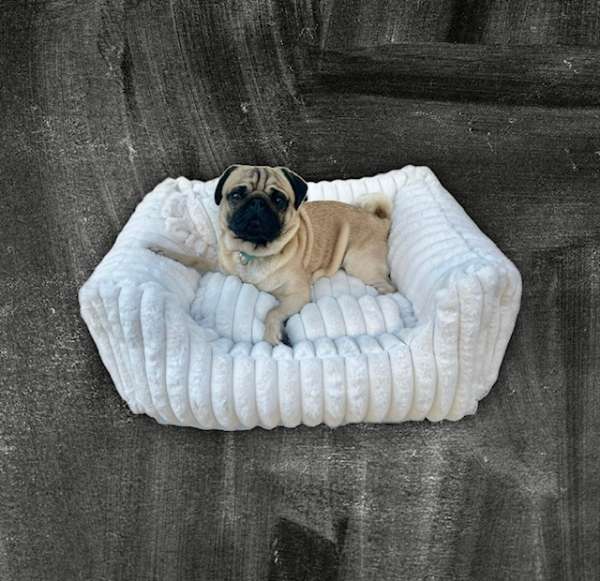 Designer Hundebett Panna Cotta Stripes